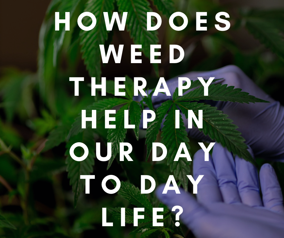 Comment la Weed Therapy nous aide-t-elle dans notre vie de tous les jours ?