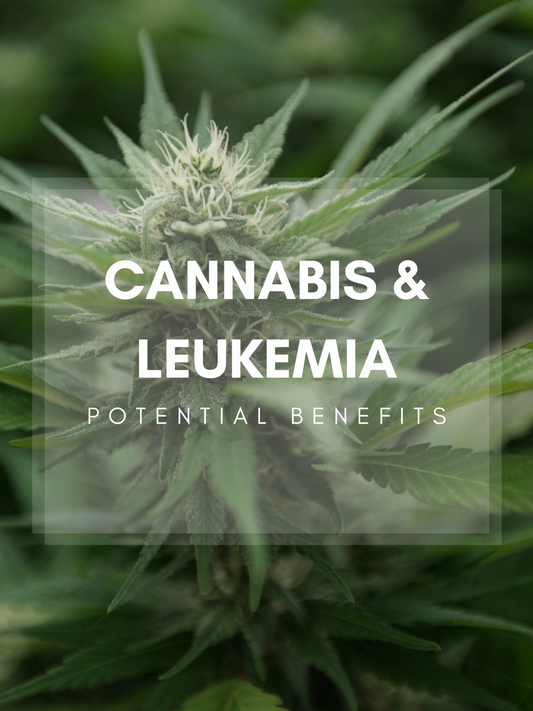 Avantages potentiels du cannabis dans le traitement de la leucémie
