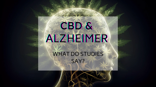 Le CBD dans le traitement de la maladie d'Alzheimer
