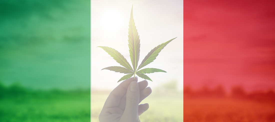Victoire pour Cannabis Light : le Tribunal du Latium suspend le décret controversé