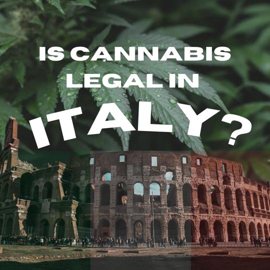 Les produits du cannabis sont-ils légaux en Italie ?