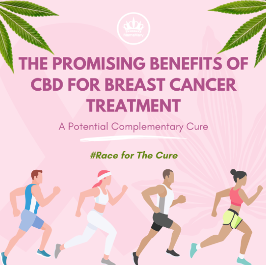 CBD et cancer du sein : Exploration des avantages potentiels et des résultats prometteurs de la recherche