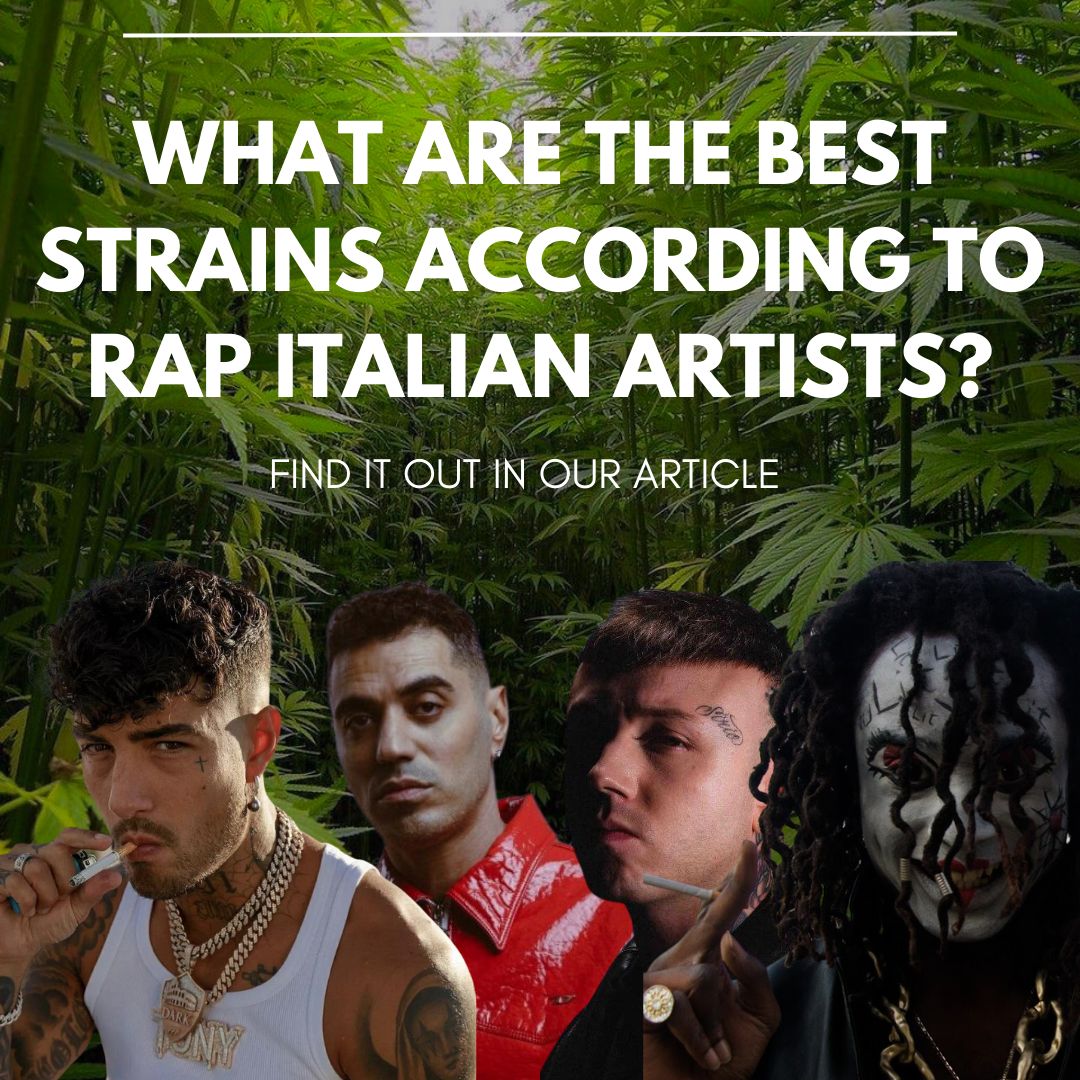Tony Effe, Lazza, Marracash, Sfera Ebbasta, Jessee The Maestro et bien d'autres : quelles sont les variétés préférées des meilleurs artistes de la scène rap et trap italienne ?