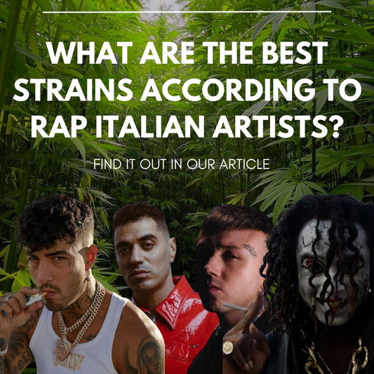 Tony Effe, Lazza, Marracash, Sfera Ebbasta, Jessee The Maestro et bien d'autres : quelles sont les variétés préférées des meilleurs artistes de la scène rap et trap italienne ?