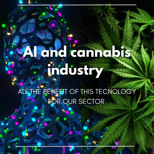 Comment l'intelligence artificielle peut changer la donne pour l'industrie du cannabis